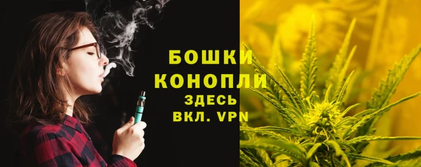 трава Горнозаводск
