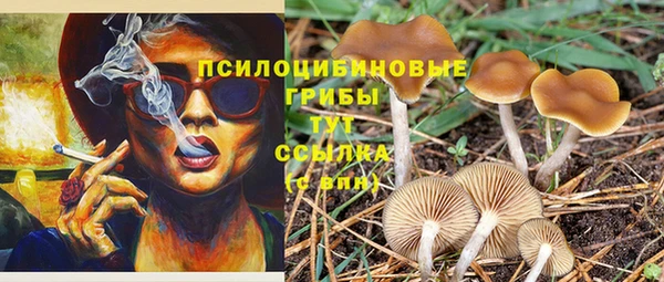 дмт Горно-Алтайск