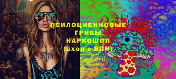 дмт Горно-Алтайск