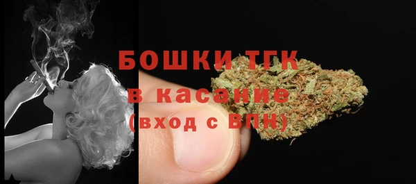 дмт Горно-Алтайск