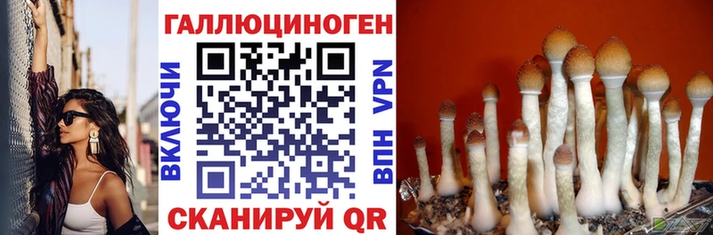 Галлюциногенные грибы мухоморы  Купить закладки  Нерюнгри 