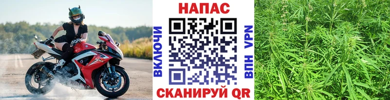 Каннабис OG Kush  Купить закладки  Нерюнгри 